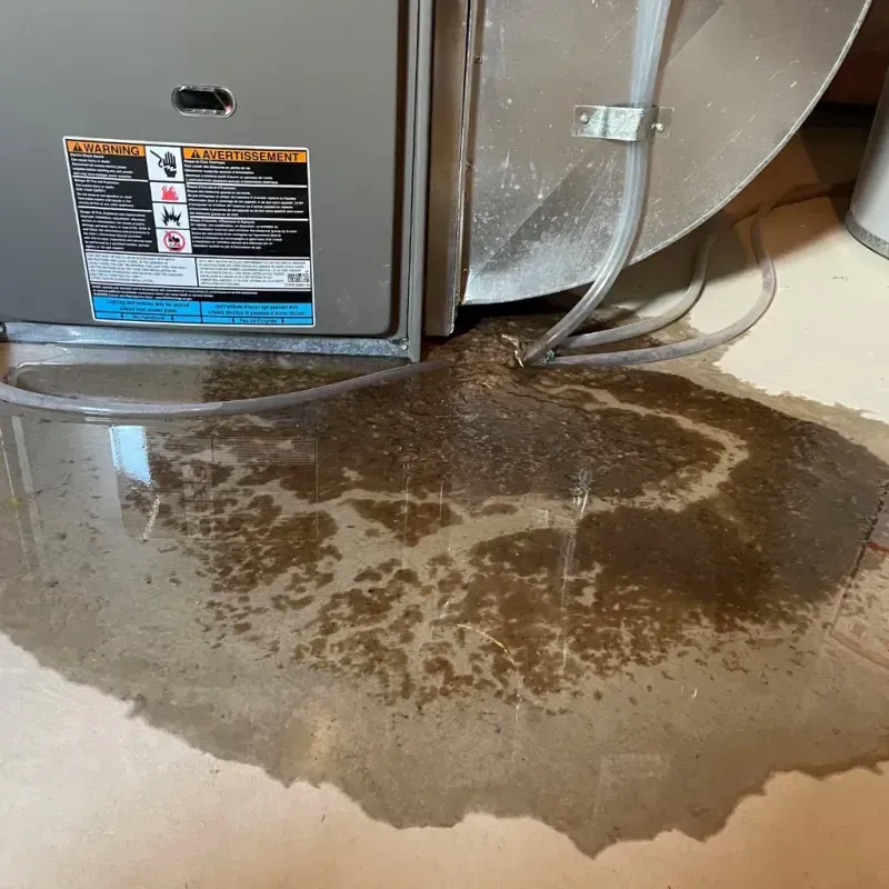 Appliance Leak Cleanup in Pelahatchie, MS